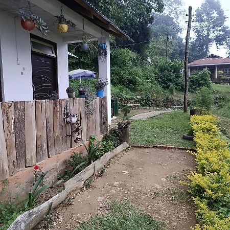 Little Cub Homestay Kalimpong Exterior foto